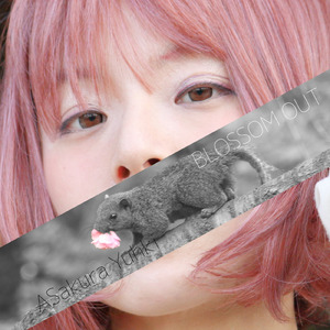 妄想炸裂デコレーション