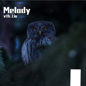 Love's Melody
