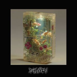 【免费】“困在”- Memphis Type Beat Prod.SKADI️