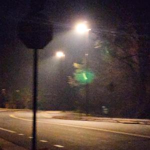 stayed for an hour more