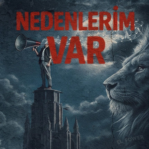 Nedenlerim Var