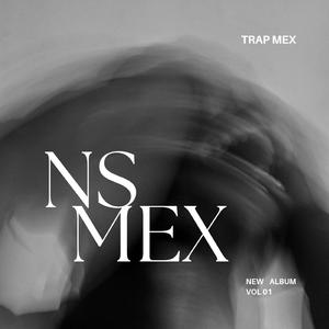 NSMEX