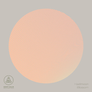 Blossom (Sound Bath)