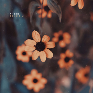 Wallace (Original Mix)