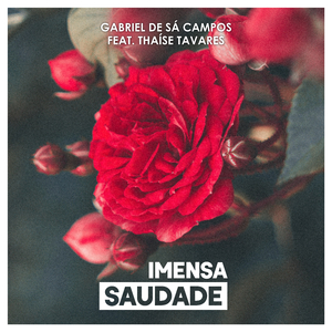 Imensa Saudade