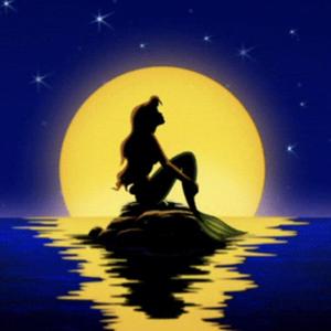 泡沫公主（Prod by EVOMUSIC）