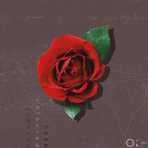 Rose Coloured Glasses