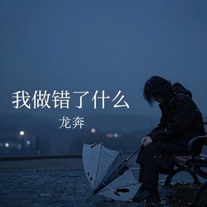 我做错了什么