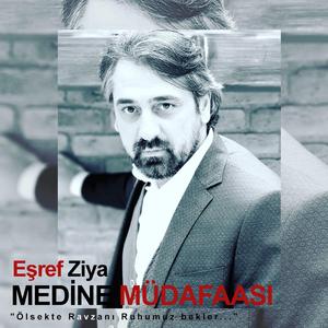 Medine Müdafaası