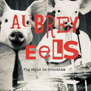 The Land of the Bully Boys