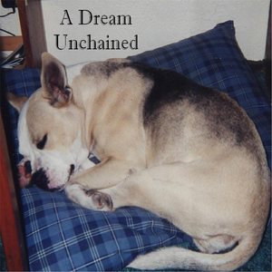 A Dream Unchained