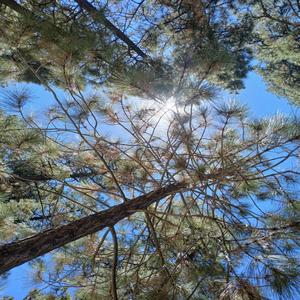 mc/5t4rgir1. (καιρός)