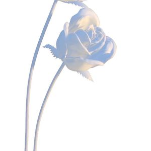 远方的姑娘我想念你你可知道