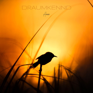 Draumkennd
