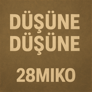 Düşüne Düşüne