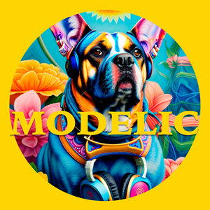 Modelic (Club Edit)