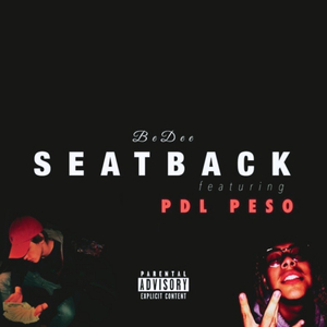 SEATBACK