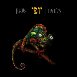 גברת גולדברג