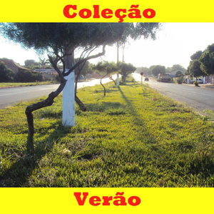 Marcelo Torca Abertura