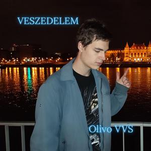 VESZEDELEM