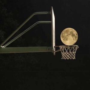 日子全都喂给了猫