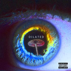 DILATED (feat. Pimpalicious)