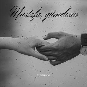 Mustafa, gitmelisin