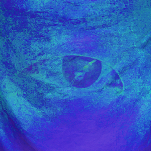 Cohen (English Version)