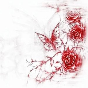 再没人像你笨得认真