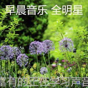 安静的正在学习声音