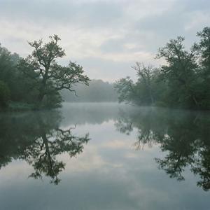 Stillform