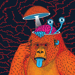 Wolfgang (feat. Addvice)