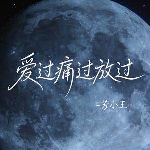 爱过痛过放过（原版）