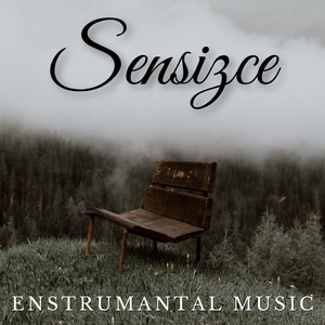 Sensizce