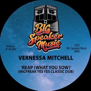 Reap (What You Sow) (MicFreak Yes Yes Classic Dub)
