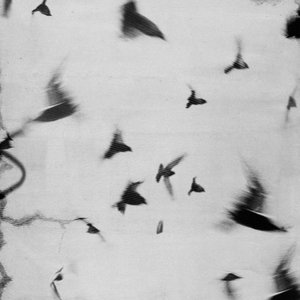 我怕你已走又怕你未至