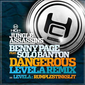 Dangerous(Levela Remix)