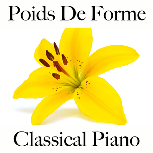 Pursuit of Happiness