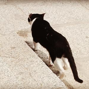 南城（cover 陈柏霖）