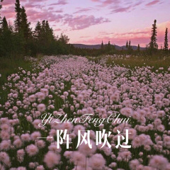 给老婆的歌 (Remix)