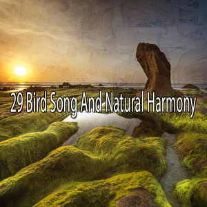 舒緩寧靜的靈魂