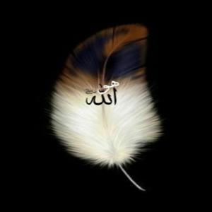 İslamic (Nashed)