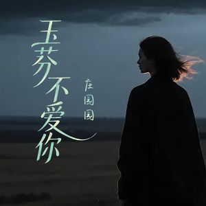 玉芬不爱你DJ伟伟版