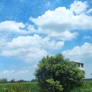 偏爱和例外翻唱