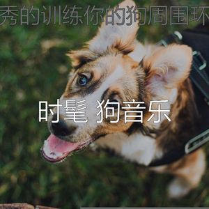抚慰的幼犬回忆