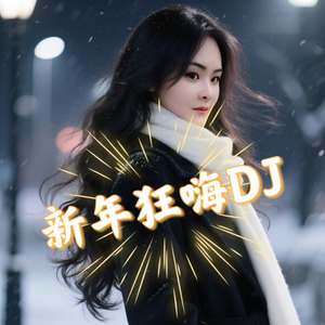 新年狂嗨DJ