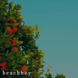 Beachboy