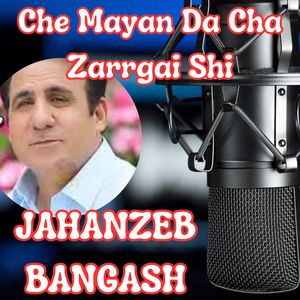 Che Mayan Da Cha Zarrgai Shi