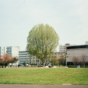 바오밥 (feat. 장한나)