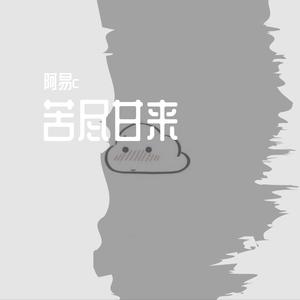 黑豹乐队-无地自容（阿易c remix）
